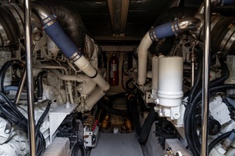 Glory's Coming 51 50