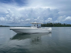 Shellyfish 5 6