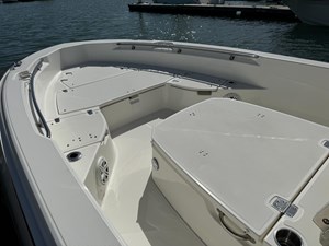 250 Dauntless 14 2022-boston-whaler-250-dauntless-power-9594851-20241026072146822-1_XLARGE