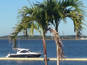 Salty Hammock 11 IMG_7164
