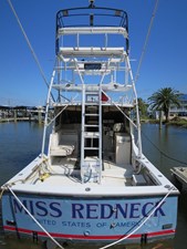 Miss Redneck 1 1