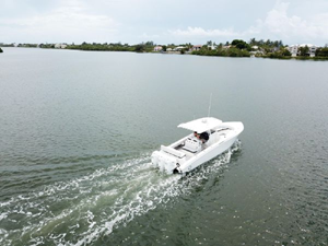 Shellyfish 36 37