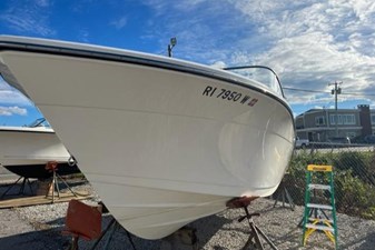 Cobia 3 4 