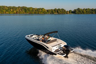 Bayliner DX2000 6 