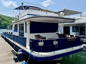 Dragonfly Chaser 138 