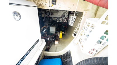 Dreaming On 31 32. 2003 Leopard 47