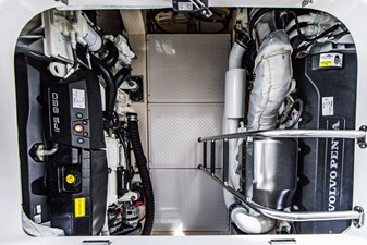 Irish Lady 101 4L4A8893