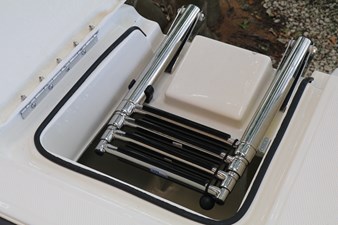 BAYLINER DX 2200 20 19. Ladder