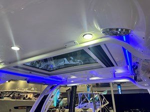 Chaparral 310 OSX 3 