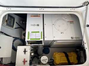 Stray Cats 17 Lagoon-450 17