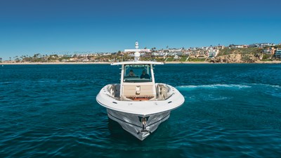 Robin Ann 43 