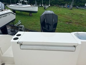 Cobia 3 11 