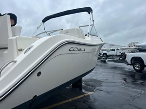 Cobia 3 2 