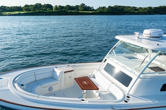 STARGAZER 11 Forward
