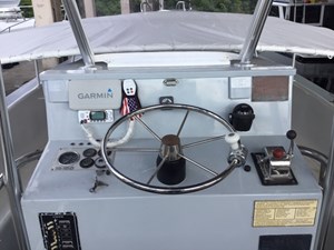 White Seal 11 9_IMG_0333