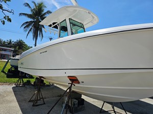 Salty Frog 4 