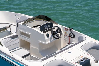 Bayliner M17 12 