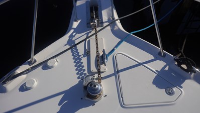 Sea Ray 340 Amberjack 45 