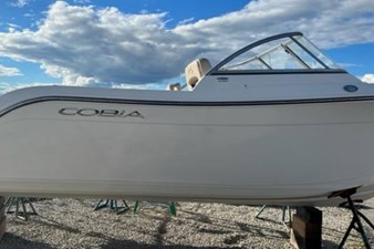 Cobia 3 6 