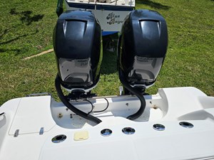 Salty Frog 10 