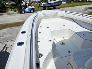 Salty Frog 20 
