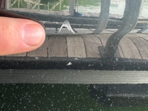 024 Yamaha 252SD NLNL 120 