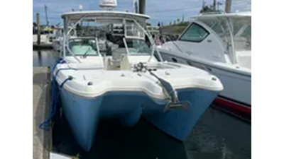 2009 World Cat 290 D/C  2 