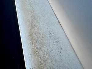 Dragonfly Chaser 115 