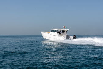 #1  SILVERCAT 34HT 26 