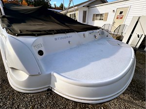 2013 Stingray 225 4 
