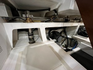 Bucephalus 43 IMG_5377