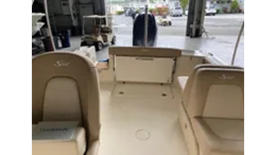 2024 Scout 215 Dorado 9 