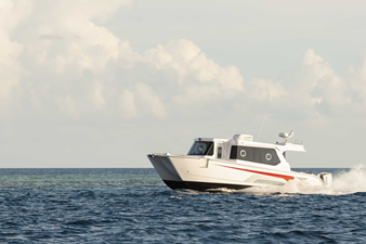 SILVERCAT 34LUX 23 