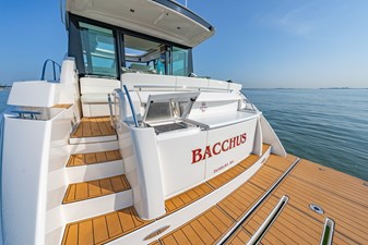 BACCHUS 24 Swim Platform and Grill