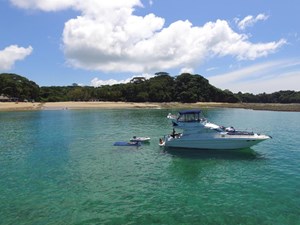 BRISMAR 0 BRISMAR-COVER PIC