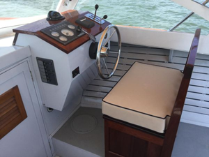 Amelia  3 4