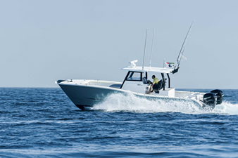 SILVERCAT 34CC 11 
