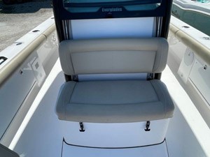 2020 Everglades 273 11 