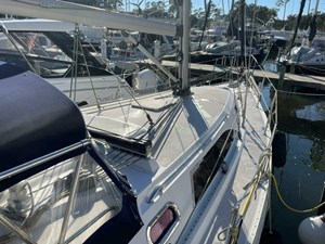 Silken Raider 6 