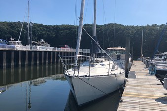 Sea Salt 7 