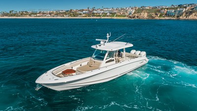 Robin Ann 50 
