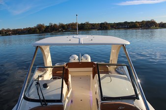 SCOUT 275 DORADO 17 