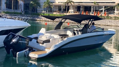 2020 Sea Ray 290 SDX OB @ Acapulco 3 