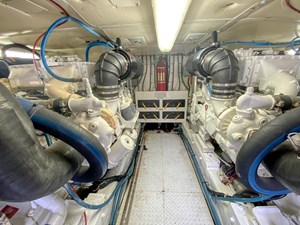 JUST BEARLY III 55 55