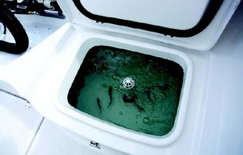 2022 Aquasport 2300 Center Console 18 22