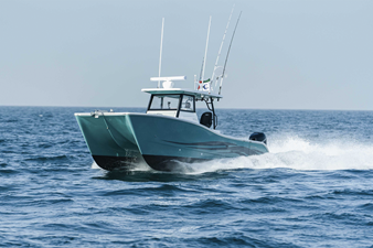 SILVERCAT 34CC 10 