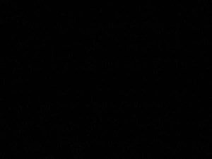 1996 Sea Ray 55 Sedan Bridge 43 44