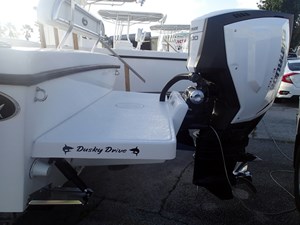 - 45 46_2021 25ft Dusky 252 T