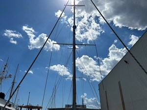 IRIS 19 IMG_0920
