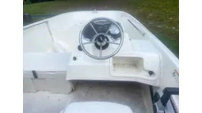 2017 Boston Whaler 17 Super Sport  3 
